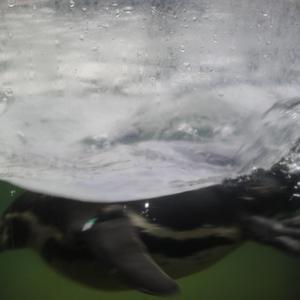 偷玩朋友丰满人妻好紧的亲身经历
